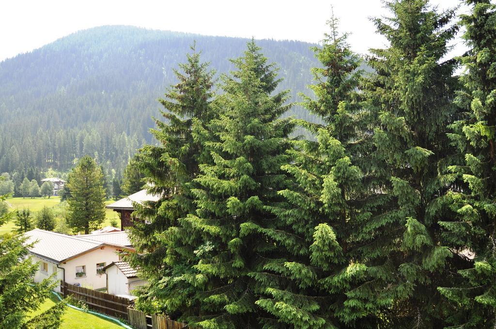 Studio Riedwiese Davos Szoba fotó