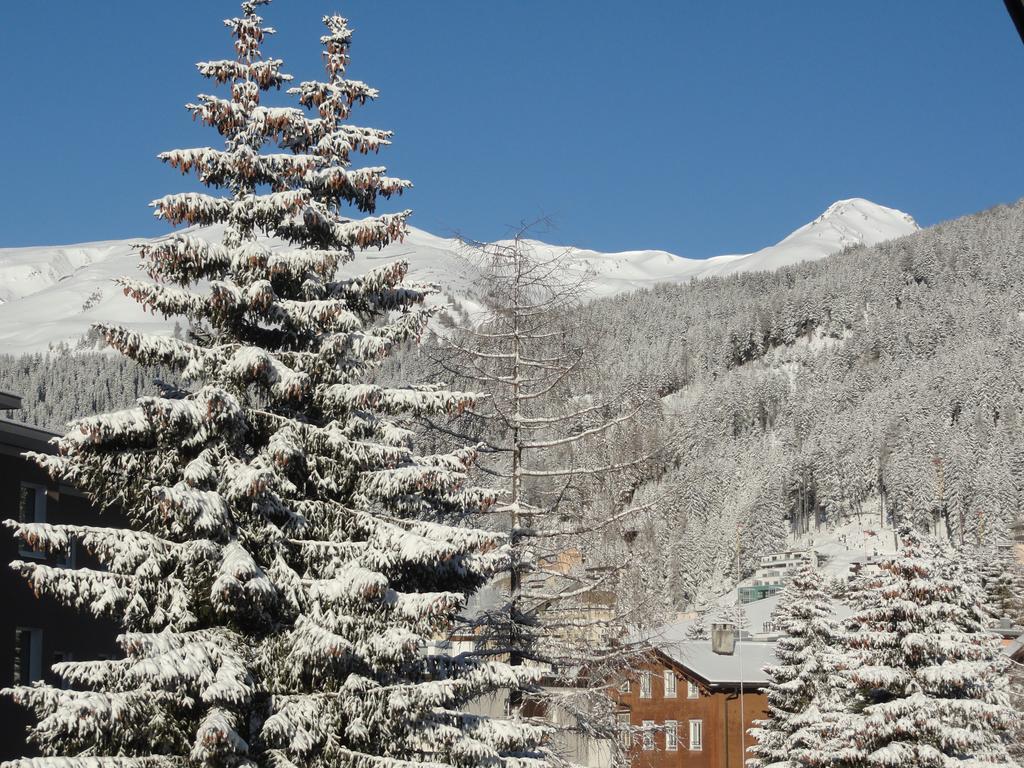 Studio Riedwiese Davos Szoba fotó
