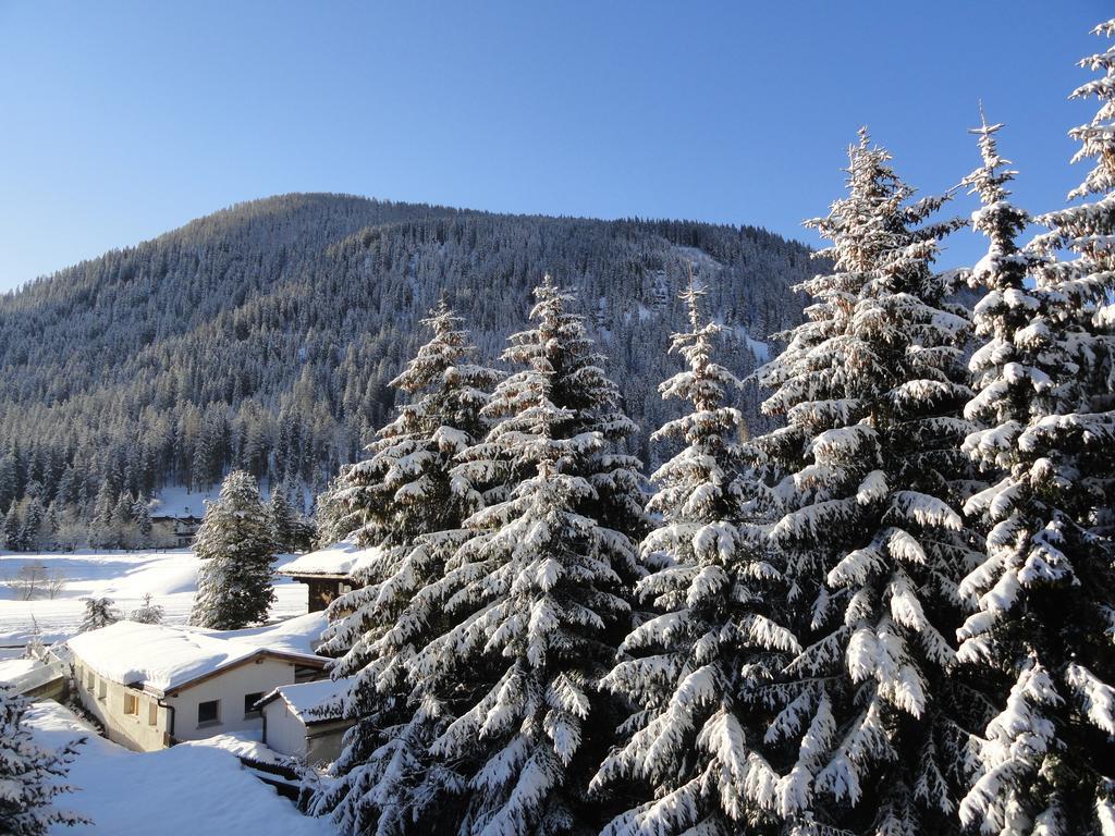 Studio Riedwiese Davos Szoba fotó