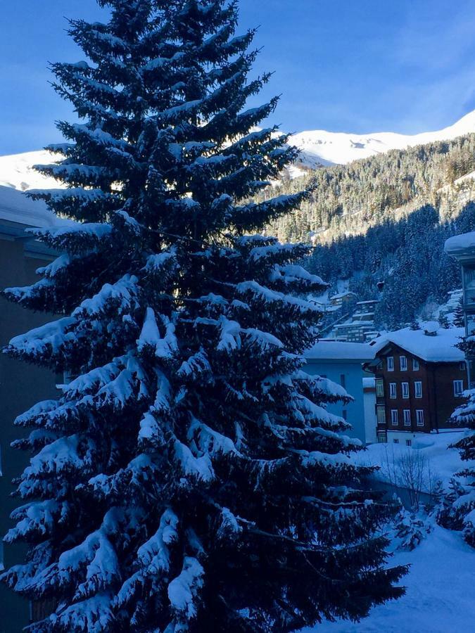 Studio Riedwiese Davos Kültér fotó